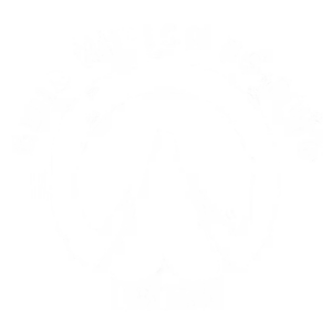 Clases de equitación para principiantes en Ibiza